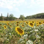 - La Couderquie